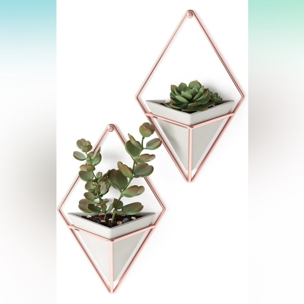 Trigg Wall vessels by Umbra x2 small